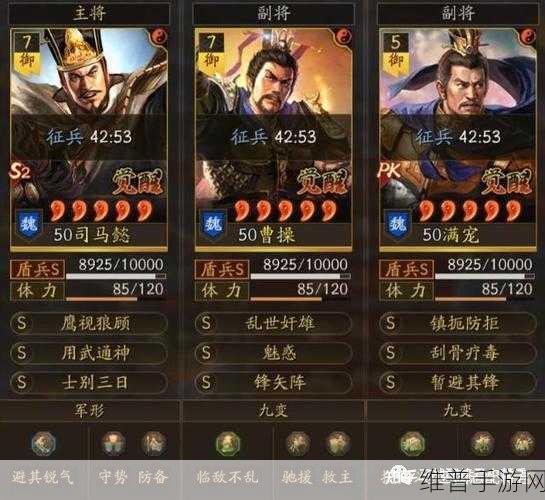三国志战略版深度攻略，火炽原燎与虎嗔的联动效应