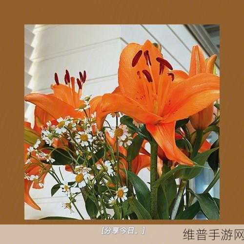 你看你奶奶啵啵那么大是什么歌：1. 奶奶的啵啵故事，温暖每一个瞬间