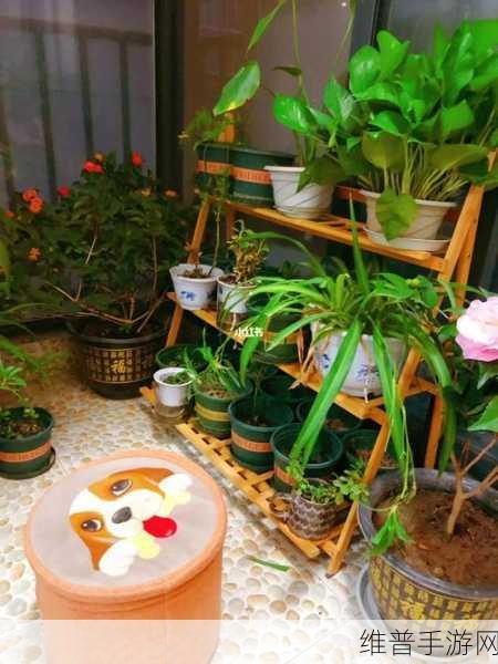 怎样照顾小花园的技巧:1. 小花园养护秘籍:让你的植物健康成长