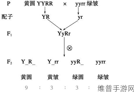 9浅1深左3右3图解:根据“9浅1深左3右3图解”,以下是一些新的标题建议: