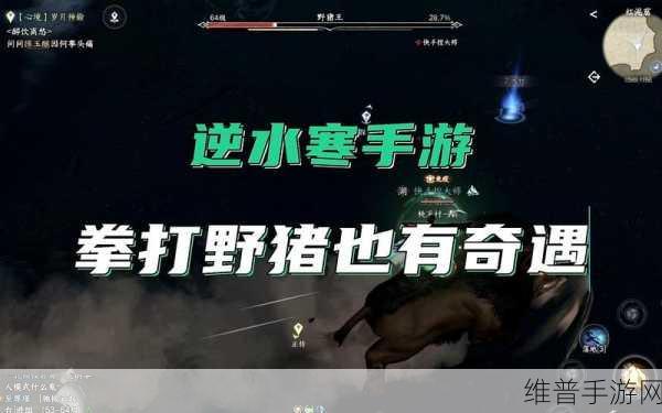 逆水寒手游深度攻略，揭秘野猪王山洞位置与探险技巧