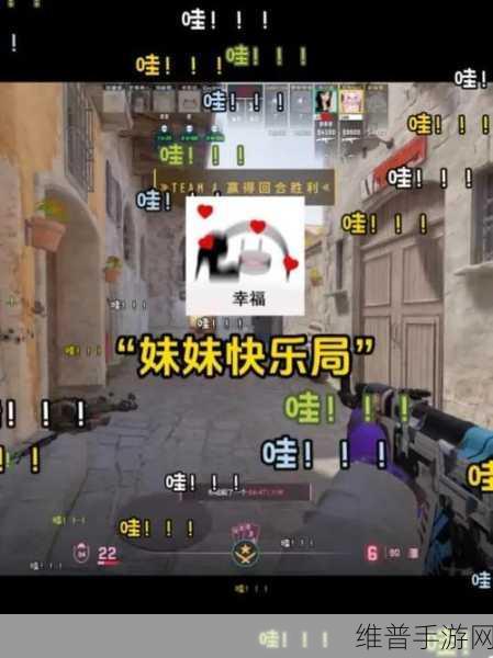 csgo暴躁妹妹与logo：CSGO暴躁妹妹：游戏中的激情与创意碰撞