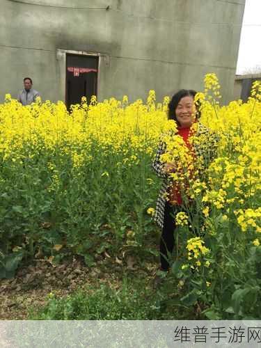 东北大通炕金凤的原文及翻译：1. ＂东北大通炕金凤：传统文化的独特魅力