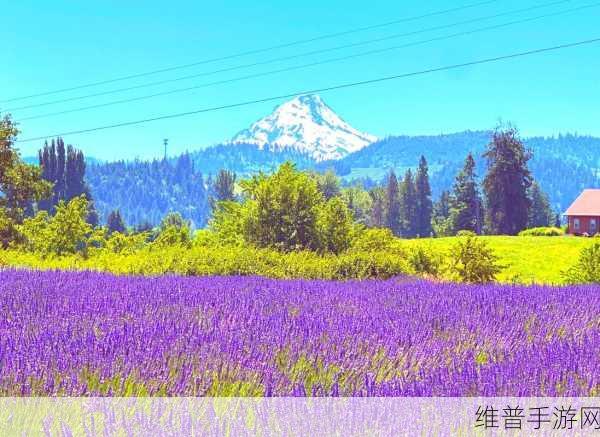 美国XAXWASWASWAS：1. 探索美国XAXWASWASWAS背后的文化与历史