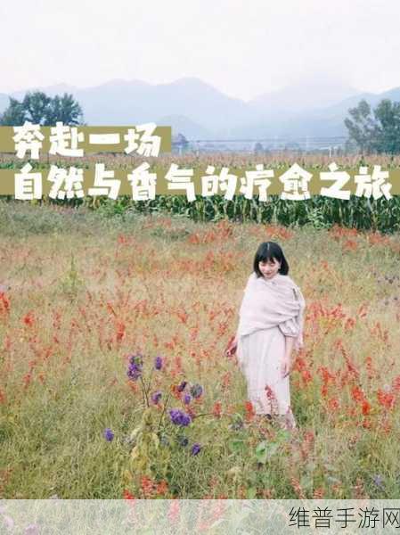 蜜芽忘忧草：1. 蜜芽忘忧草：自然疗愈的秘密所在