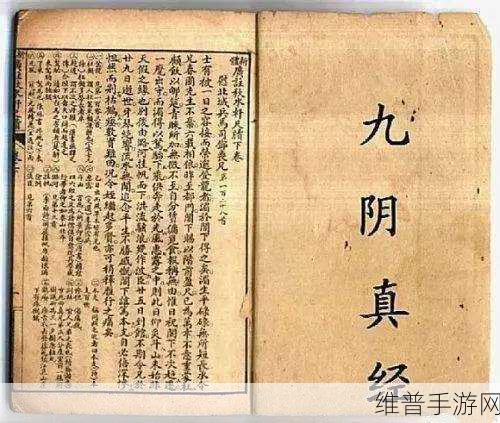 葵花宝典未满十八岁请立刻开拼音：1. “葵花宝典”启示：未满十八岁请远离