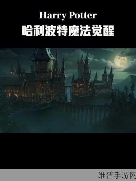 哈利波特魔法觉醒学院更换教程，探索霍格沃茨的无限可能