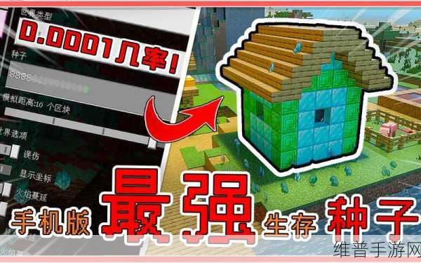 我的世界生存模式，甜菜根种子的获取与种植全攻略