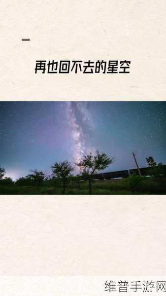 国产电影：1. 《追寻梦中的那片星空