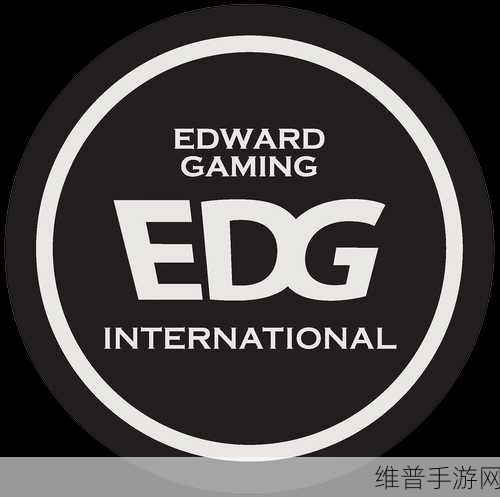 RGE战队是哪个国家的战队:RGE战队的国家背景及其在电子竞技中的影响力分析