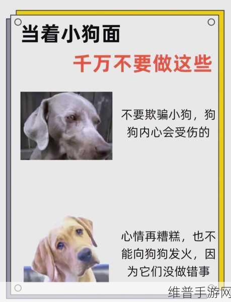 狗Zoom和人类Zoom哪个好：1. ＂狗Zoom与人类Zoom：哪种在线会议更有趣？