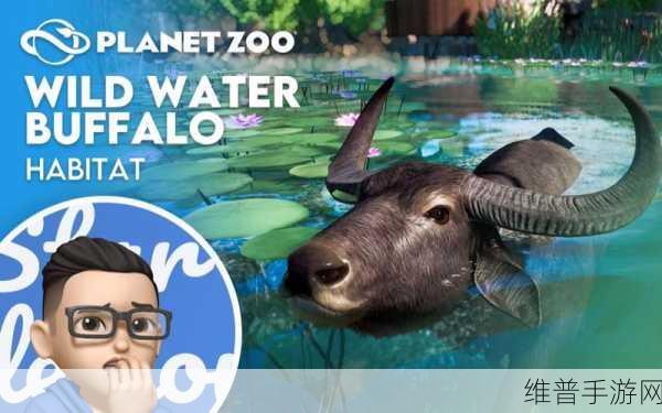 水牛影院：1. 水牛影院：带你领略不一样的电影世界