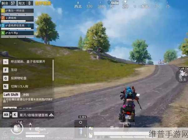 手游攻略,全面解析模拟器和平精英卡顿问题