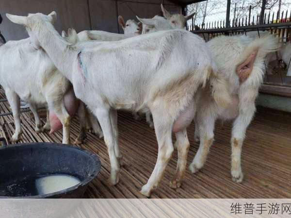 人的能进入羊的水门吗:1. 人与羊的水门:奇妙的界限探索