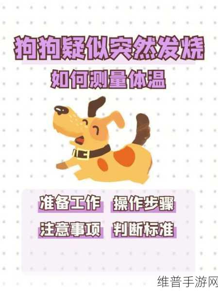 狗狗的东西又硬又烫怎么办：1. 如何处理狗狗体温过高和硬物问题