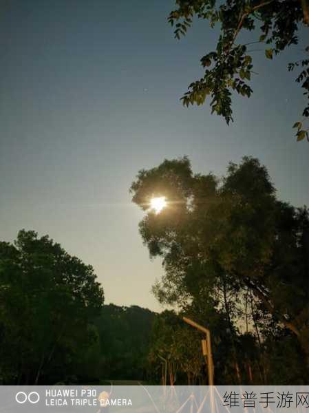 月夜直播在线看片www:1. 月夜直播:探索梦幻般的夜空世界
