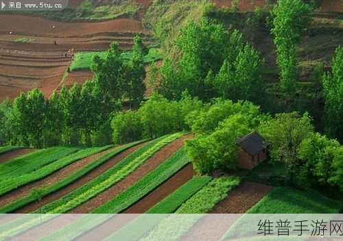 探秘精品产区WNW2544：1. 探秘WNW2544精品产区的独特魅力