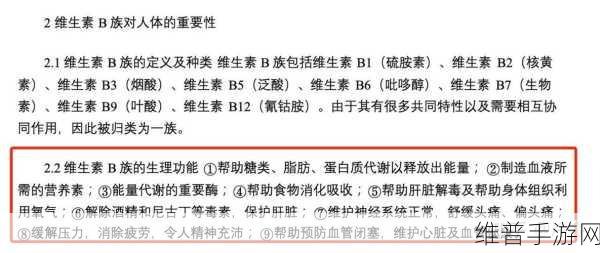 B与B的不同之处：1. B与B的比较：探讨它们的独特差异