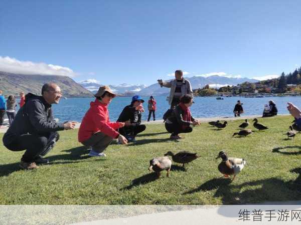 一卡二卡3卡4卡乱码新区：1. 一卡二卡三卡四卡：数字世界的无限可能