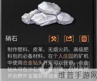 波西亚时光硝石获取全攻略，解锁硝石获得方法的多样途径