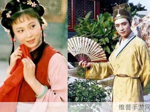 贾宝玉王熙凤大战：1. 贾宝玉与王熙凤的智勇较量