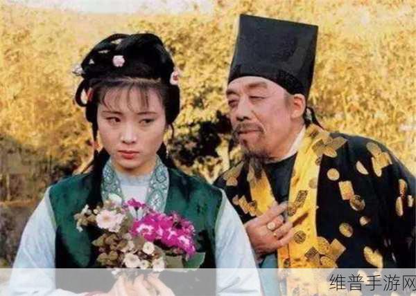 贾宝玉王熙凤大战：1. 贾宝玉与王熙凤的智勇较量