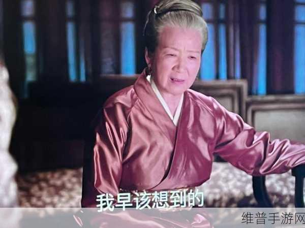 暴躁老太太剧情攻略：1. ＂暴躁老太太的逆袭：从愤怒到温柔的转变