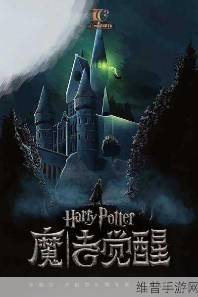 哈利波特魔法觉醒，深入解析缓和剂的效果与运用策略