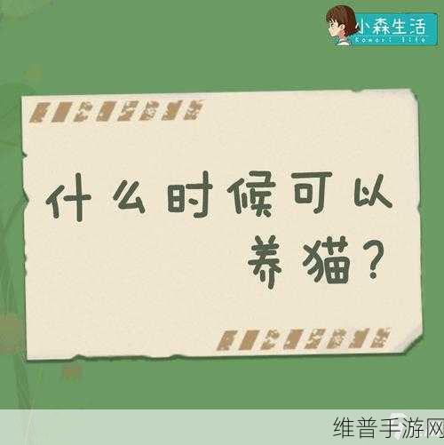 小森生活手游攻略，解锁海边餐厅的详细指南