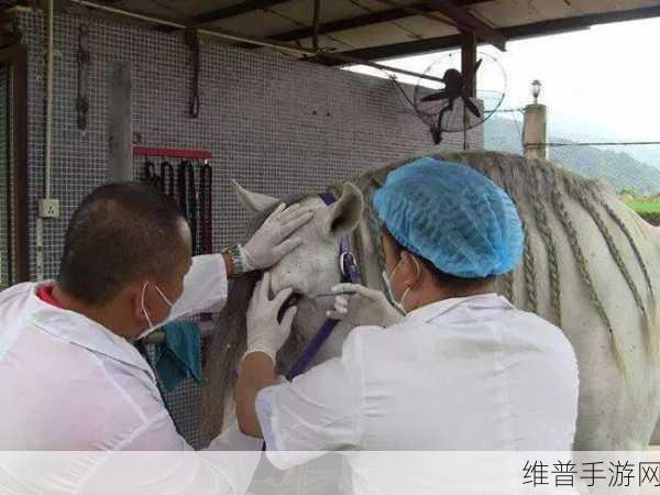 人马畜禽共性关系的重要性：1. 人马畜禽共性关系对生态平衡的影响探讨