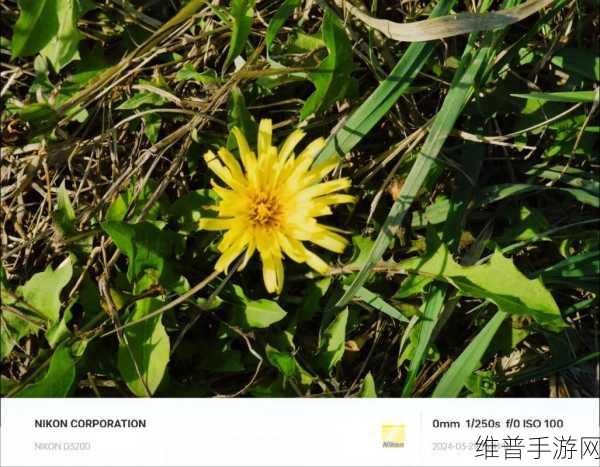 尼康D4:1. 尼康D4:专业摄影师的完美伴侣