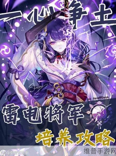 原神雷电将军，你所不知道的热知识与深度攻略