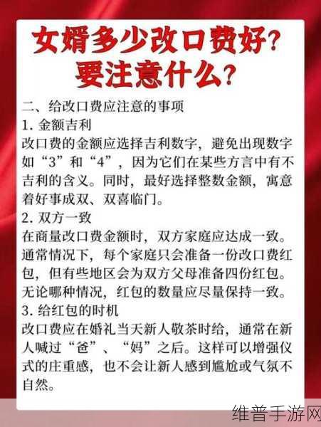 女婿有劲枪枪到底：1. 女婿有劲，勇闯家庭幸福之路
