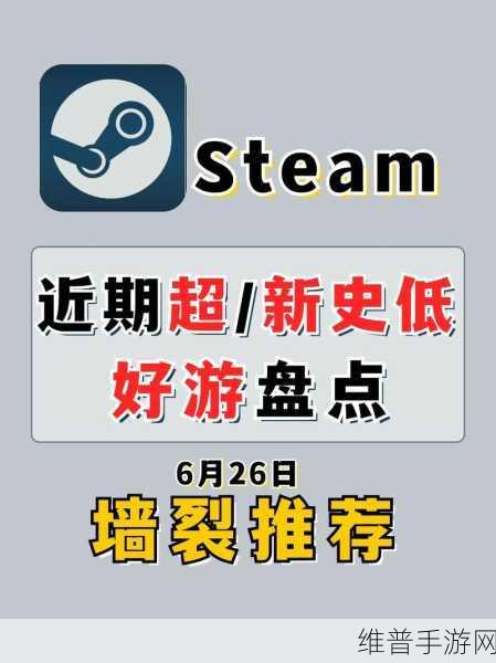 手机版Steam消费历史记录全攻略，轻松掌握你的游戏开支