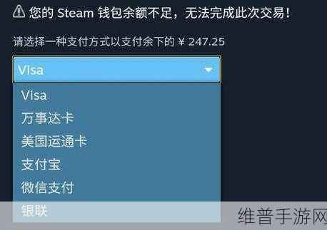 手机版Steam消费历史记录全攻略,轻松掌握你的游戏开支