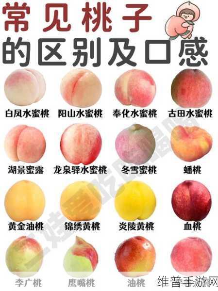 水蜜桃一三四专区：1. 探寻水蜜桃的种植秘密与营养价值