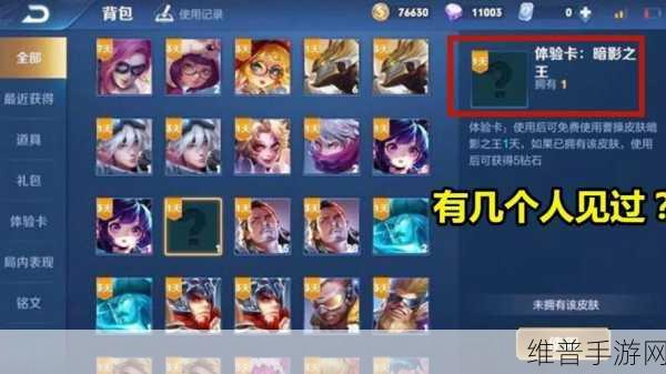 王者荣耀稀有英雄探秘，你拥有几个绝迹珍藏？