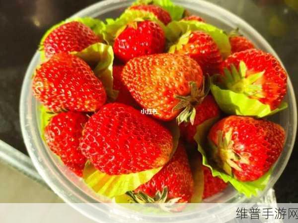 草莓晚上湿漉漉的：1. 草莓晚霞下的湿漉漉浪漫