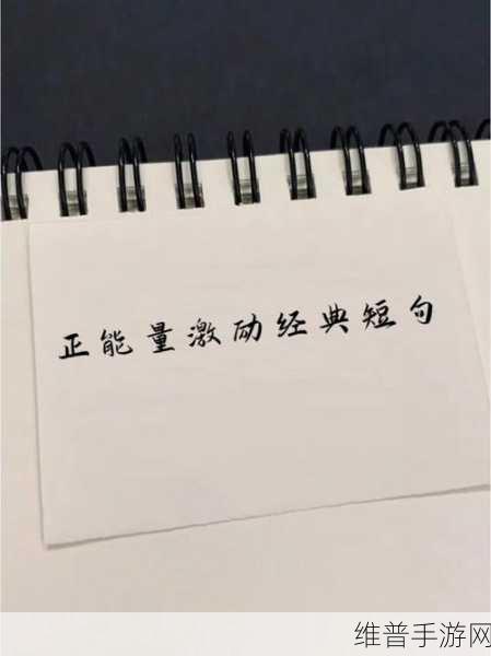 自W到高C方法：1. 从自我反省到高峰成就的心灵之旅