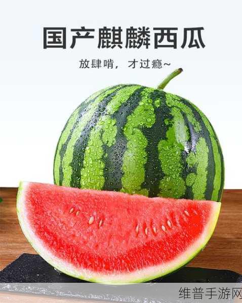 51cg10今日大瓜：1. 51cg10今日大瓜揭秘：背后的真相是什么？