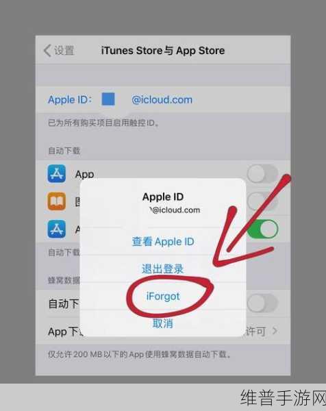 手游攻略，忘记Apple ID账号密码与解ID锁的实用指南