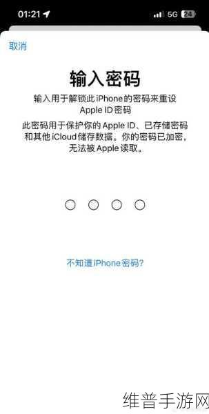 手游攻略,忘记Apple ID账号密码与解ID锁的实用指南