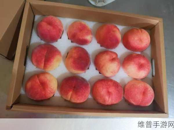天美麻花果冻星空红桃：1. 天美麻花果冻星空红桃的梦幻之旅