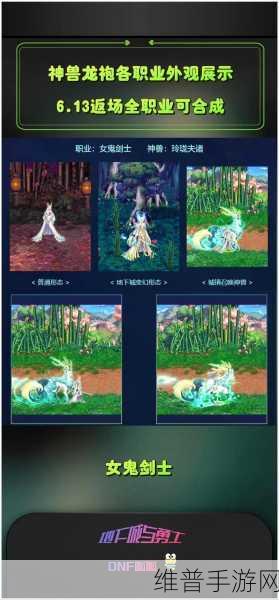 DNF手游攻略，第二期龙袍能否转换成神兽套详解