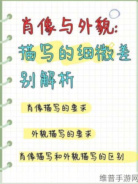 B大与小的区别图片:探寻B大与小之间的细微差别与独特魅力