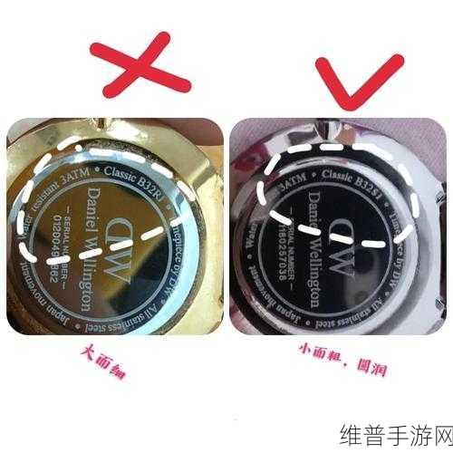 DW亚洲版和欧洲版区别：1. DW亚洲版与欧洲版：文化视角的差异解析