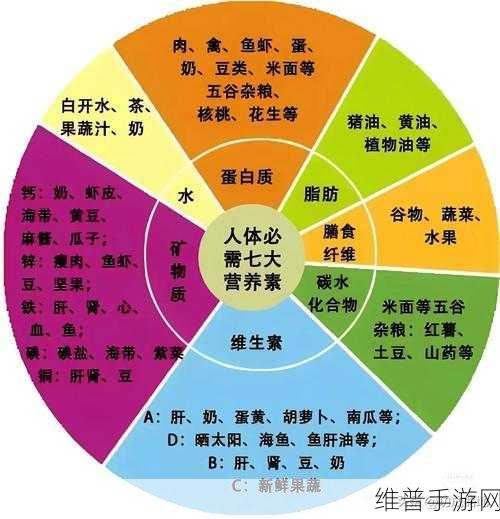 小肚子灌得鼓鼓的：1. 小肚子鼓起的秘密：饮食与健康新观察