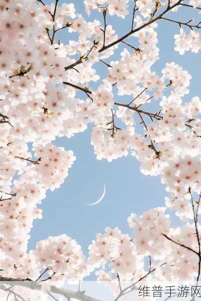 桃花深处水潺潺：1. 桃花深处，水潺潺：一曲春日恋歌