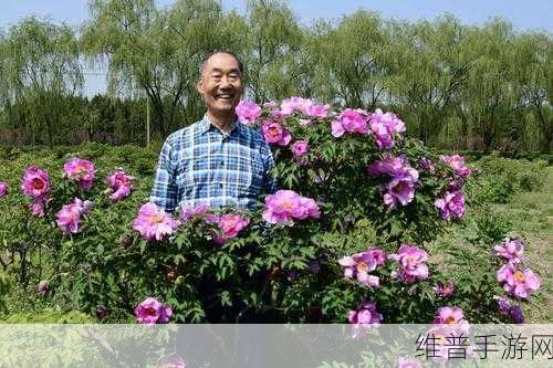国色天香A区与B区:好的,以下是一些关于国色天香A区与B区的新标题建议:
