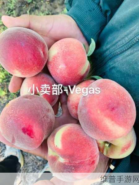 日本水蜜桃品种岭风大受欢迎:1. 岭风水蜜桃:品味甘甜的夏日之旅